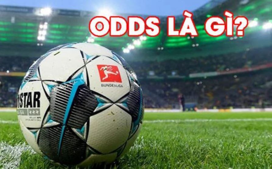 Odds là gì? Các mẹo soi Odds hiệu quả tại nhà cái 789win 