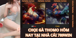 CHỌI GÀ THOMO HÔM NAY TẠI NHÀ CÁI 789WIN