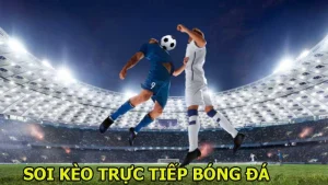 soi kèo trực tiếp bóng đá